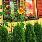 Pod Orechom Guest house 3*