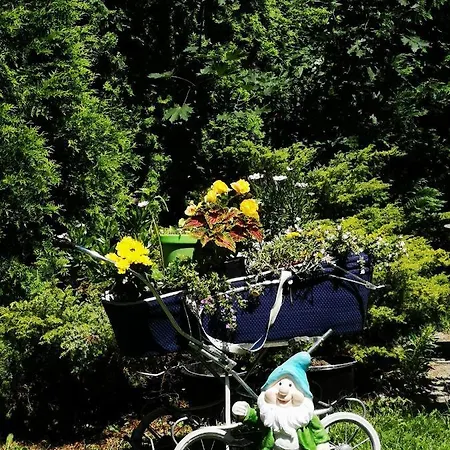 Pod Orechom Gasthof 3*