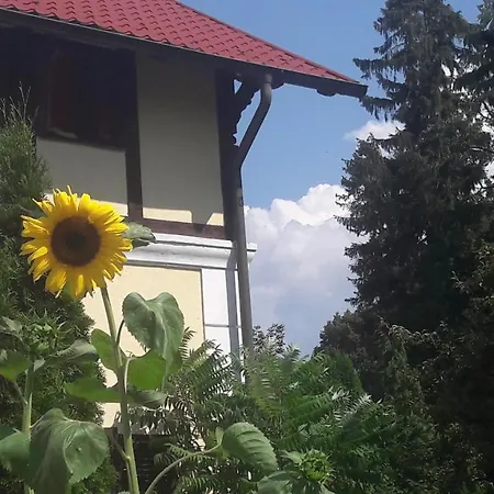 Pod Orechom Guest house Turcianske Teplice