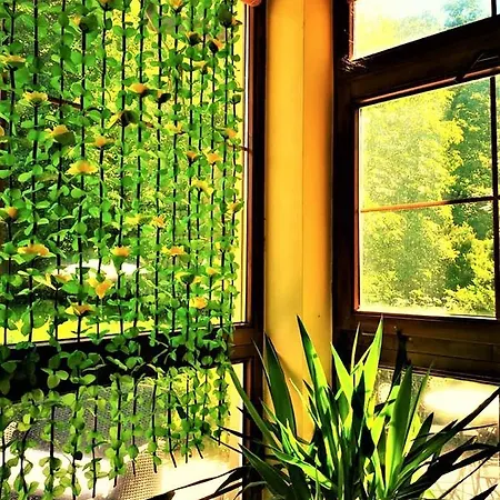 Guest house Pod Orechom 3*