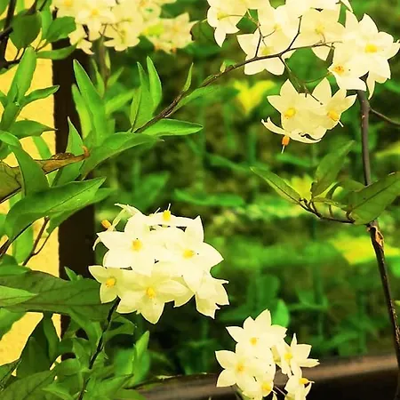 Pod Orechom Turčianske Teplice