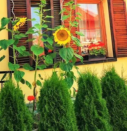 Pod Orechom ゲストハウス 3*