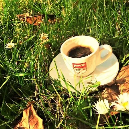 Pod Orechom Turcianske Teplice