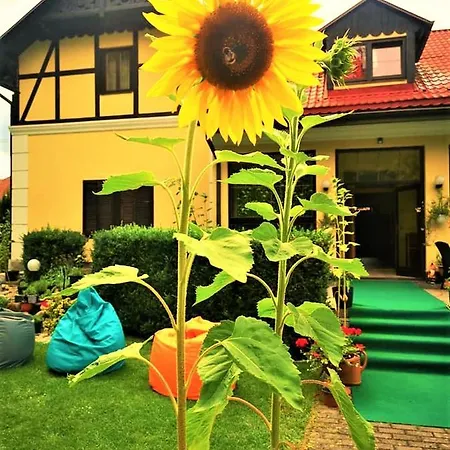 Guest house Pod Orechom 3*