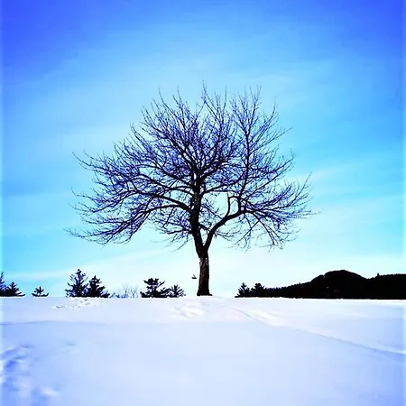 Pod Orechom ゲストハウス Turčianske Teplice