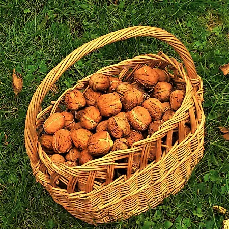 Pod Orechom 3* Turčianske Teplice