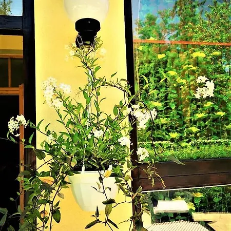 Guest house Pod Orechom 3*