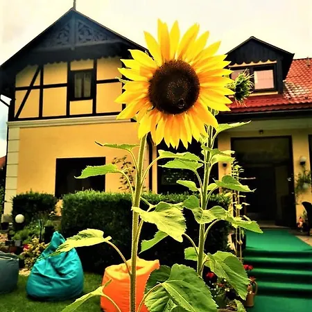 Guest house Pod Orechom 3*