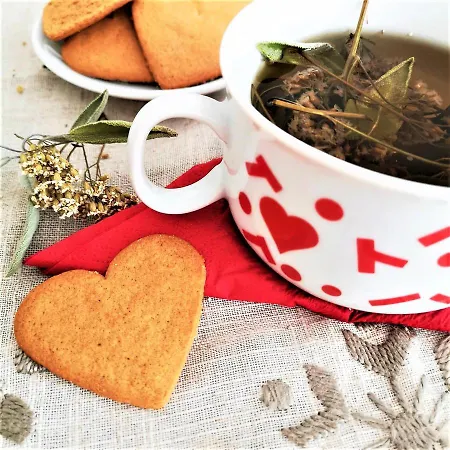 Pod Orechom ゲストハウス Turčianske Teplice