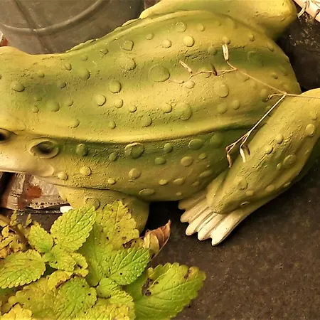 Pod Orechom ゲストハウス Turčianske Teplice