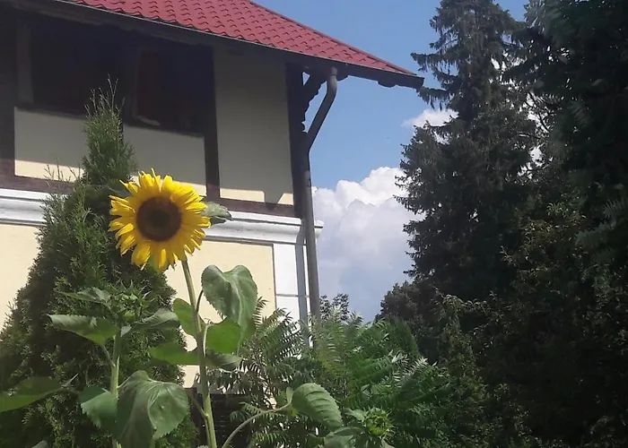 Pod Orechom Vendégház Stubnyafürdő