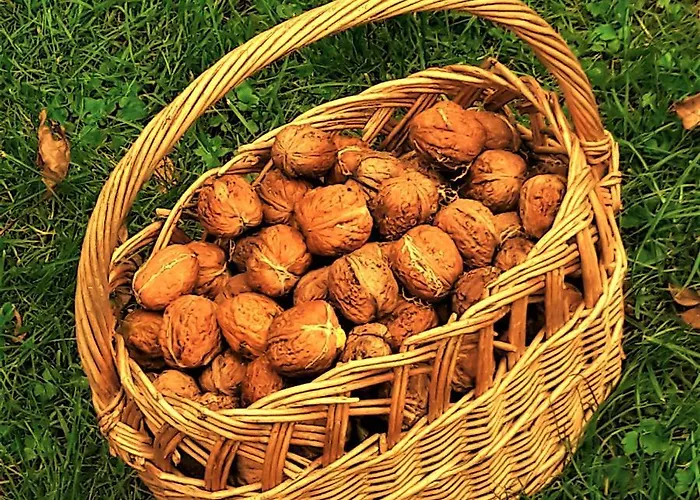 Pod Orechom 3* Stubnyafürdő